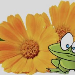 FROG Soap - FROG Soap logo