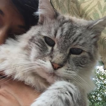 Creature Comforts Pet Care - Shalini and Sami - Pet Sitting Near Me Creature Comforts Pet Care - Shalini and Sami - Pet Sitting Near Me