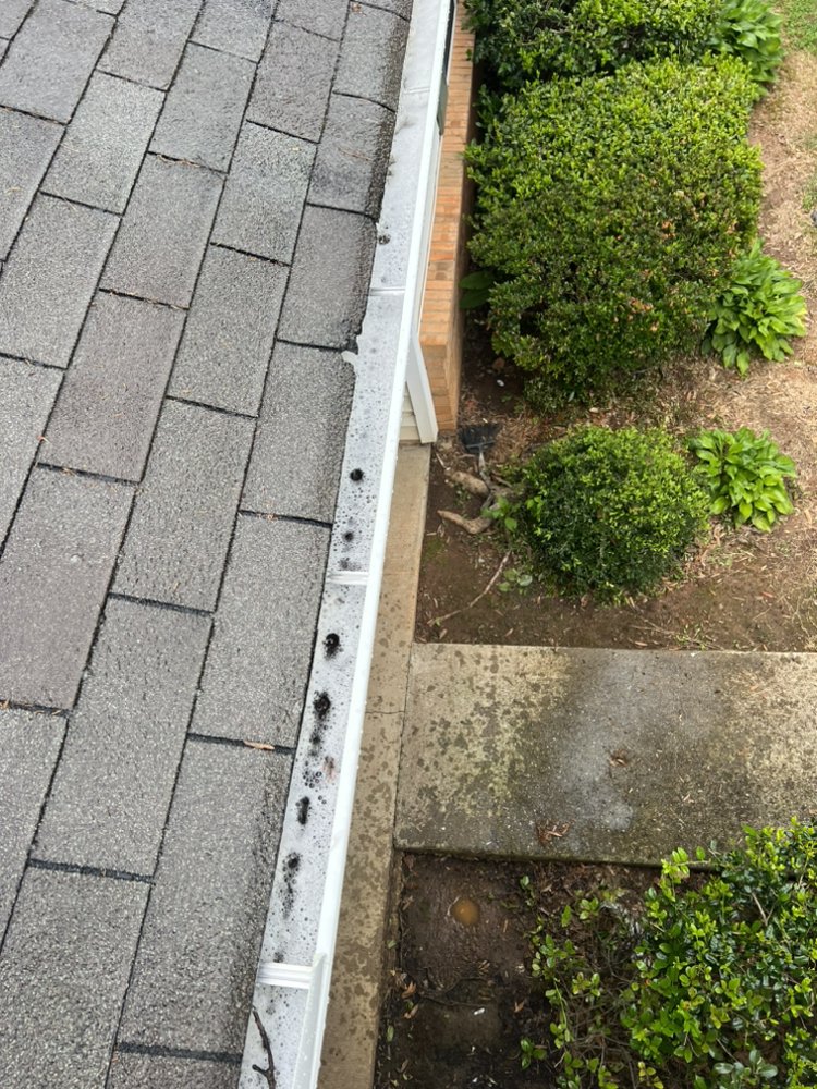 US Home Restoration Services - veterans service organization in Greenville, SC