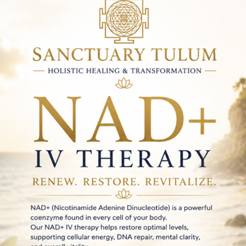 The Holistic Sanctuary - NAD+ IV therapy for all of our clients. Receive this daily. - Rehabilitation Center Near Me - Beverly Hills, California The Holistic Sanctuary - NAD+ IV therapy for all of our clients. Receive this daily. - Rehabilitation Center Near Me - Beverly Hills, California
