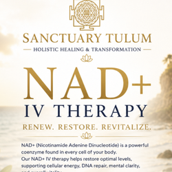 The Holistic Sanctuary - NAD+ IV therapy for all of our clients. Receive this daily.