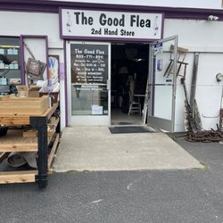 The Good Flea