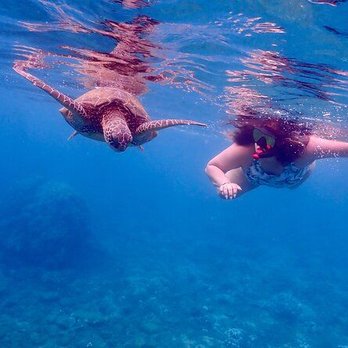 Molokini Crater - Boating Near Me - Maalaea, Hawaii