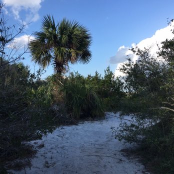 Anastasia State Park - Path near the beach - Parks Near Me - Saint Augustine, Florida