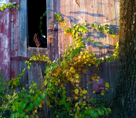 Eckerton Hill Farm by null