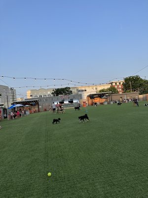 Fetch Park Buckhead by null