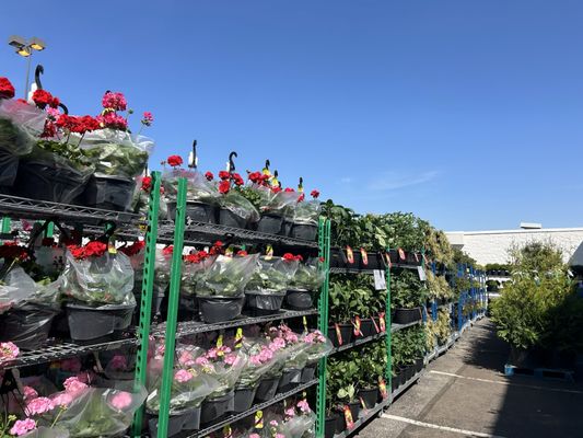 Costco Wholesale by null