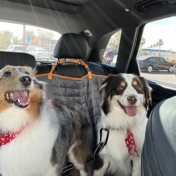 Las Vegas Pet Spa - Pet Groomers Near Me - Las Vegas, Nevada Las Vegas Pet Spa - Pet Groomers Near Me - Las Vegas, Nevada