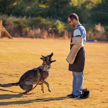 Ashley Hills Pet Center - Training with Ashley - Pet Training Near Me - Monroe, Georgia Ashley Hills Pet Center - Training with Ashley - Pet Training Near Me - Monroe, Georgia