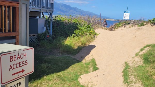 Hawaiian Islands Humpback Whale National Marine Sanctuary Visitor Center by null