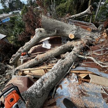 REM Tree Service - Tree Services Near Me REM Tree Service - Tree Services Near Me