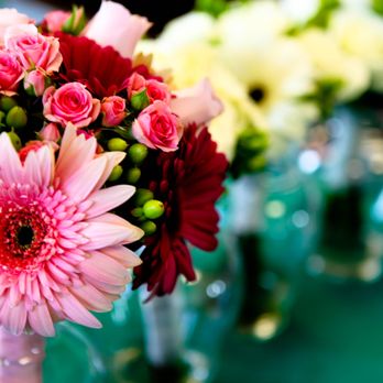 Janine's Flowers - Florists Near Me - Camdenton, Missouri Janine's Flowers - Florists Near Me - Camdenton, Missouri