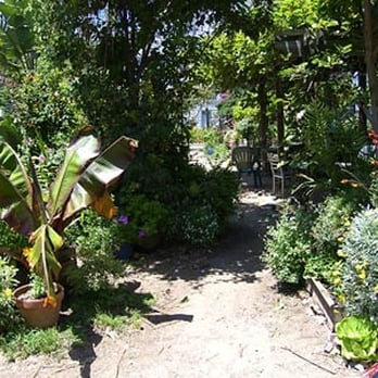 Howard Langton Community Garden - Community Gardens Near Me - San Francisco, California Howard Langton Community Garden - Community Gardens Near Me - San Francisco, California