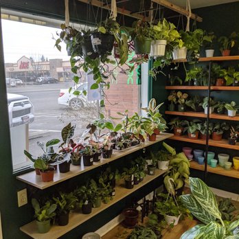 Parks Place Plants - Nurseries & Gardening Near Me - Spokane Valley , Washington