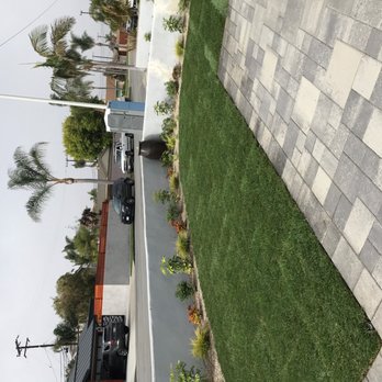 Carol Berglund Designs - Front Yard - Interior Design Near Me