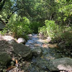 Ben Overturff Trail - Can be found on the left path
