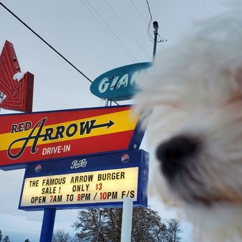 Red Arrow Drive In - a dog in front of a sign - Burgers Near Me - Cle Elum, Washington Red Arrow Drive In - a dog in front of a sign - Burgers Near Me - Cle Elum, Washington