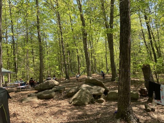 Paris Mountain State Park by null