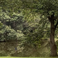Camp Ramblewood - Pond