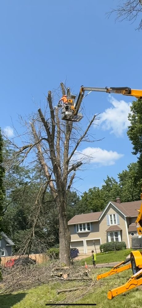 Magnolia Services - tree service in Hopkins, MN