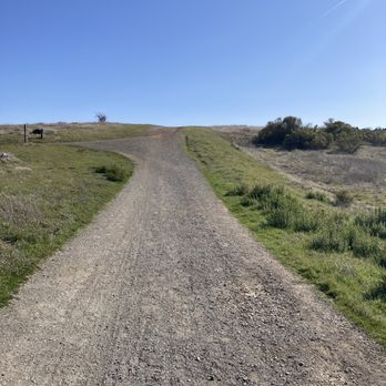 Monte Bello Open Space Preserve - Hiking Near Me - Palo Alto, California Monte Bello Open Space Preserve - Hiking Near Me - Palo Alto, California