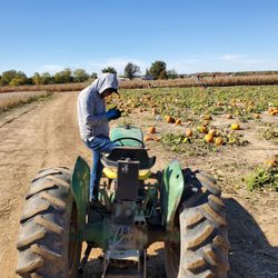 Eckert's Millstadt Fun Farm