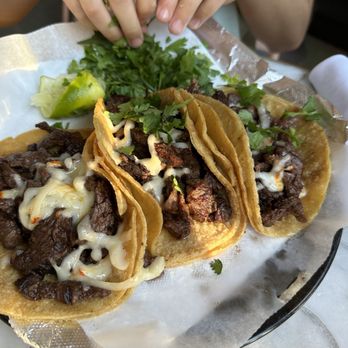 Dona Tola - Steak tacquitos - Mexican Near Me - Chicago, Illinois Dona Tola - Steak tacquitos - Mexican Near Me - Chicago, Illinois