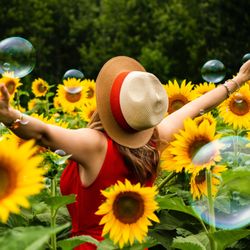 The Healers Home LLC - Woman in sunflower field, by Andre Furtado; lead image of The Healers Home website: (thehealershome.com)