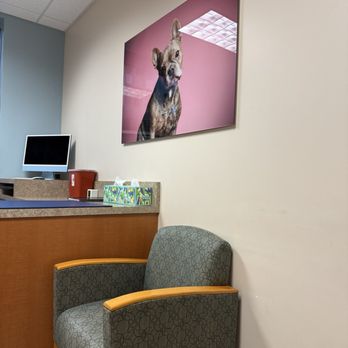Veterinary Neurology Center - Veterinarians Near Me - Tustin, California Veterinary Neurology Center - Veterinarians Near Me - Tustin, California