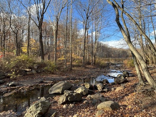 South Mountain Reservation by null