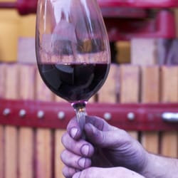 Amelia Wynn Winery