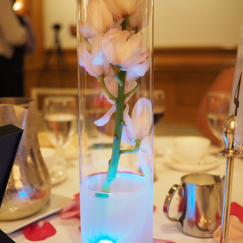 Dream Flower - Simple and elegant centerpiece 11/15/14 - Florists Near Me - Monterey Park, California Dream Flower - Simple and elegant centerpiece 11/15/14 - Florists Near Me - Monterey Park, California