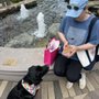 Photo of Barbie's Doggie Bakery