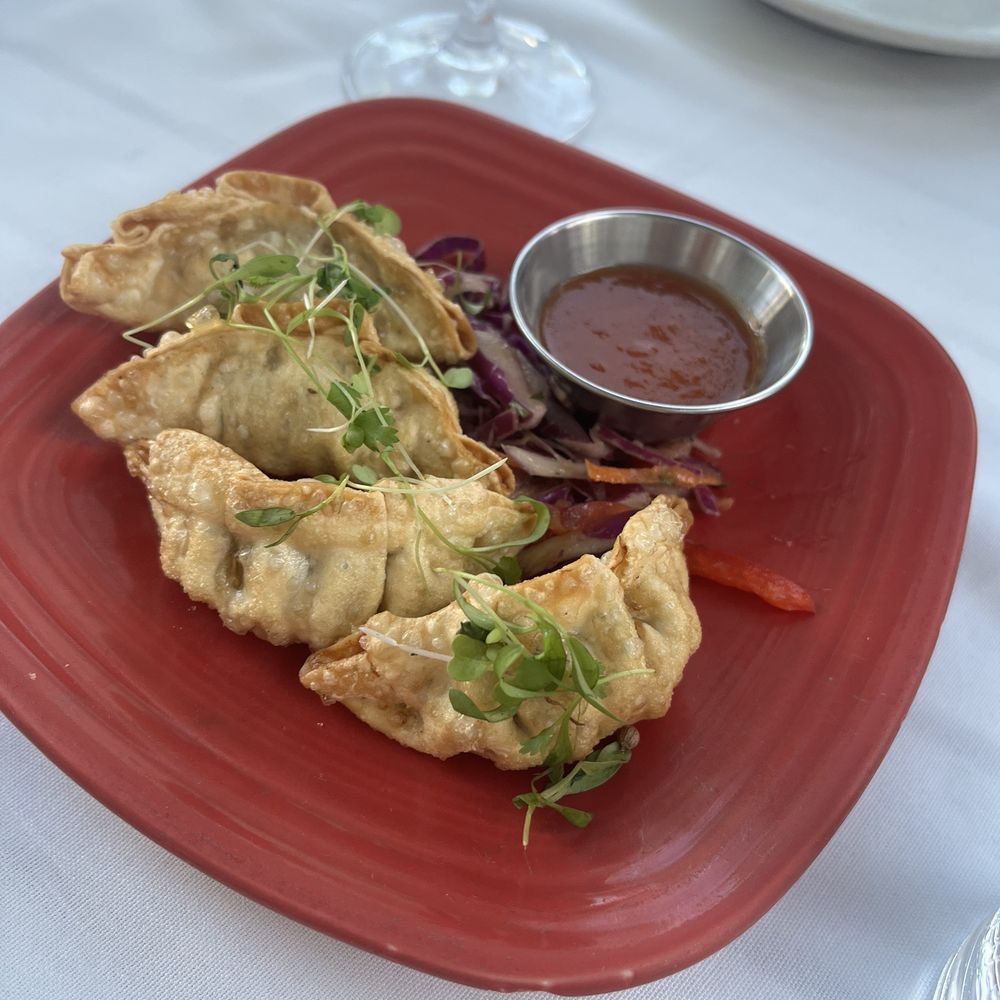 Santiago's Bodega - Chicken potstickers - Tapas Bars Near Me - Key West, Florida