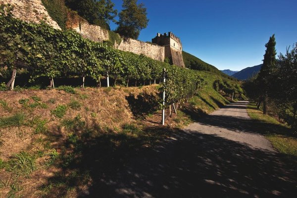 Tenuta Castello di Morcote by null