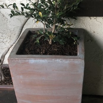 Casa Rustica - Beautiful concrete planter - Home Decor Near Me - Ramona, California Casa Rustica - Beautiful concrete planter - Home Decor Near Me - Ramona, California