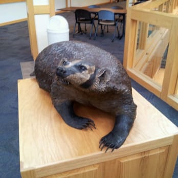 Snow College - Mascot - Colleges & Universities Near Me - Ephraim, Utah