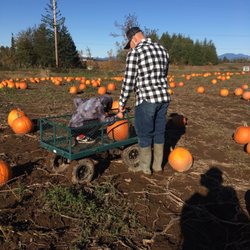 Willetta Farm - Pumpkin pickin'