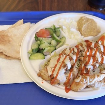 Wrap It Up - Chicken plate. - Mediterranean Near Me - Reno, Nevada Wrap It Up - Chicken plate. - Mediterranean Near Me - Reno, Nevada