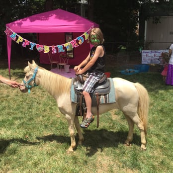 Ponies Plus - Party Equipment Rentals Near Me