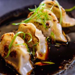 Ramen Lab Eatery - Gyoza Dumpling