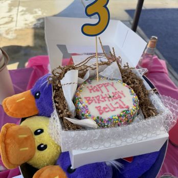 The Dog Bakery - Bella's birthday cake - Pet Stores Near Me - Pasadena, California The Dog Bakery - Bella's birthday cake - Pet Stores Near Me - Pasadena, California