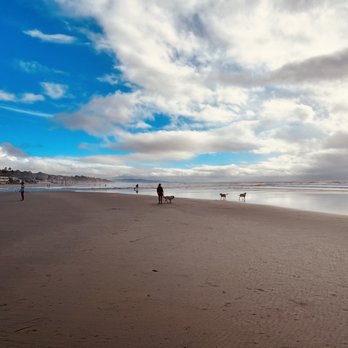 Del Mar Dog Beach - Dog Parks Near Me - Del Mar, California Del Mar Dog Beach - Dog Parks Near Me - Del Mar, California
