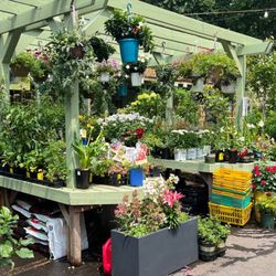 Chelsea Garden Center- Williamsburg