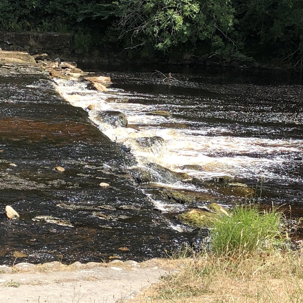 Bolton Abbey Estate - Parks Near Me - Skipton, NYK