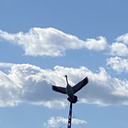 a crane on a pole a crane on a pole
