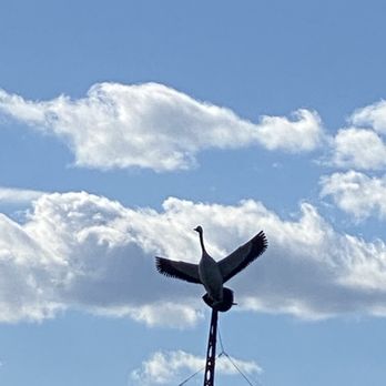 Goose Watch Winery - a crane on a pole - Wineries Near Me - Romulus, New York Goose Watch Winery - a crane on a pole - Wineries Near Me - Romulus, New York
