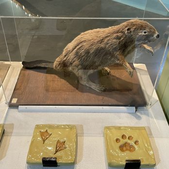 Lindsay Wildlife Experience - Museums Near Me - Walnut Creek, California Lindsay Wildlife Experience - Museums Near Me - Walnut Creek, California