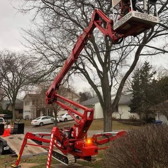 Dos Tree Service - Careful trimming of tree branches that extended over roof - Tree Services Near Me - St. Charles, Illinois