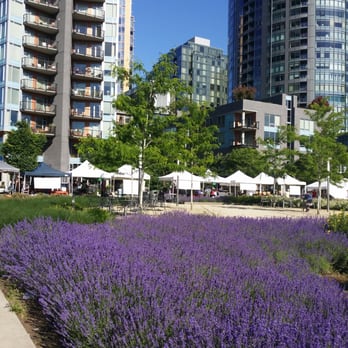 South Waterfront - Chel lovin all the lavender - Community Service/Non-Profit Near Me - Portland, Oregon